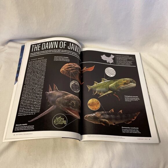 National Geographic February 2023 Origami Innovation Aging Japan Sea Otter Comeb - Picture 5 of 10